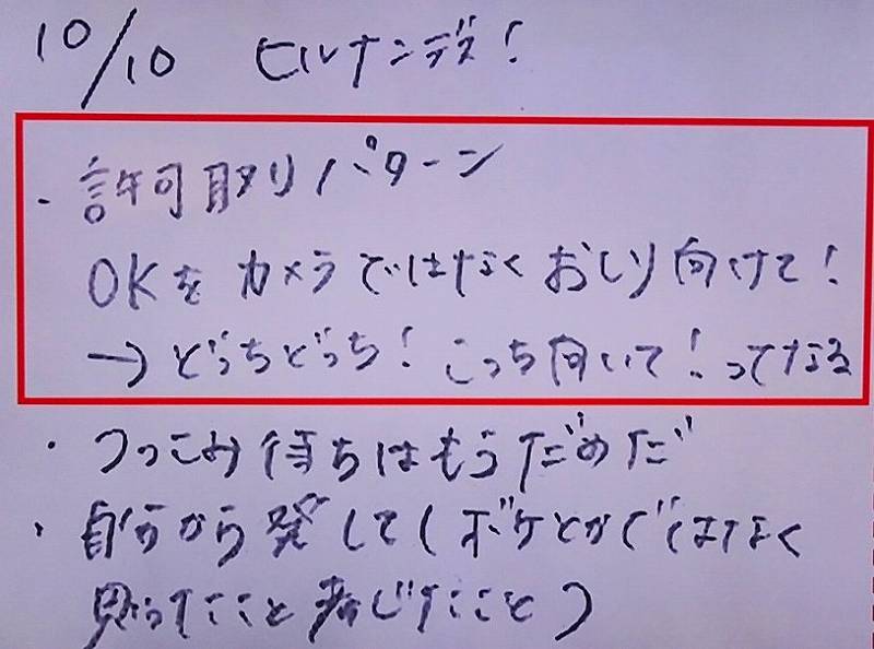 佐藤栞里 反省ノート 日記の内容が面白い 涙と笑いで魅力満載w ネットブレイク